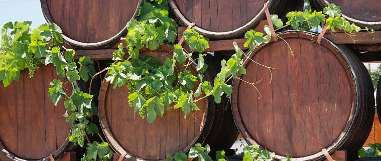 Nemea Wine Roads Tour